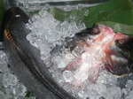 特(tè)色海鲜
